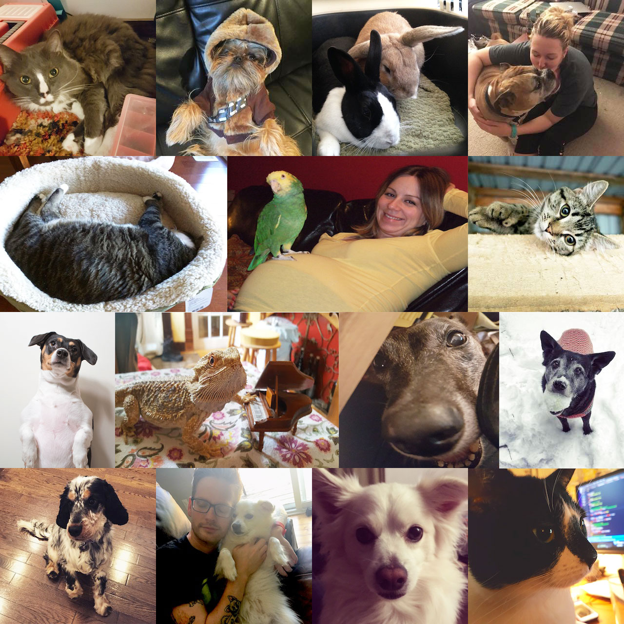 15 Things You Didn't Know About Bandzoogle