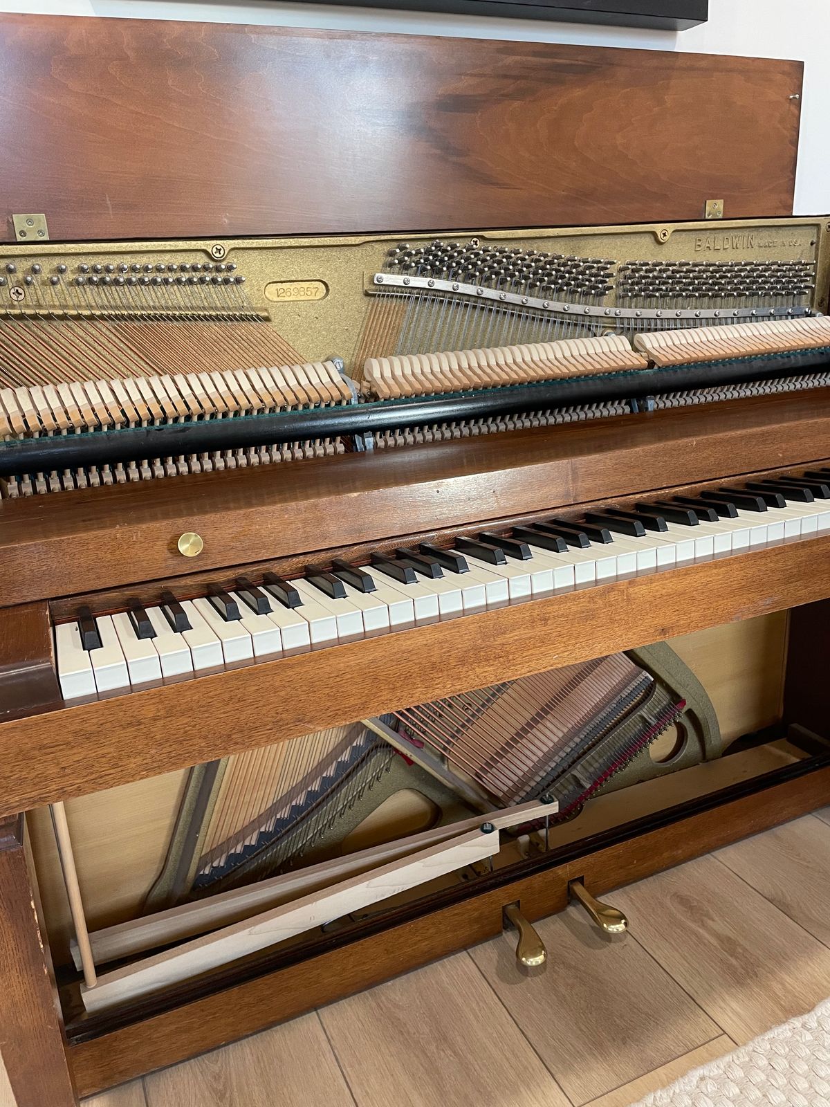 'Keeping the Dream Alive' Piano Tuning 🎹