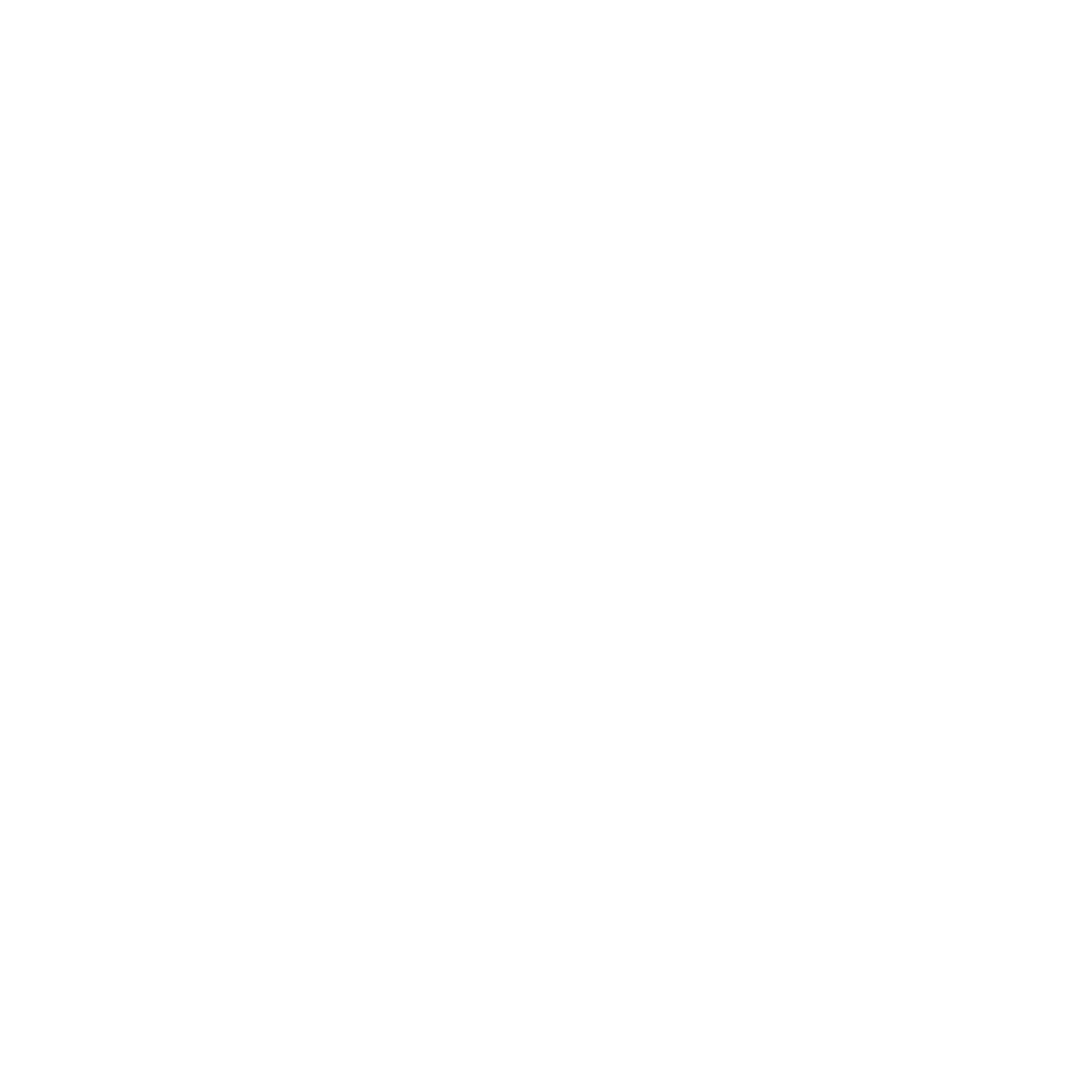 Midnight Flight