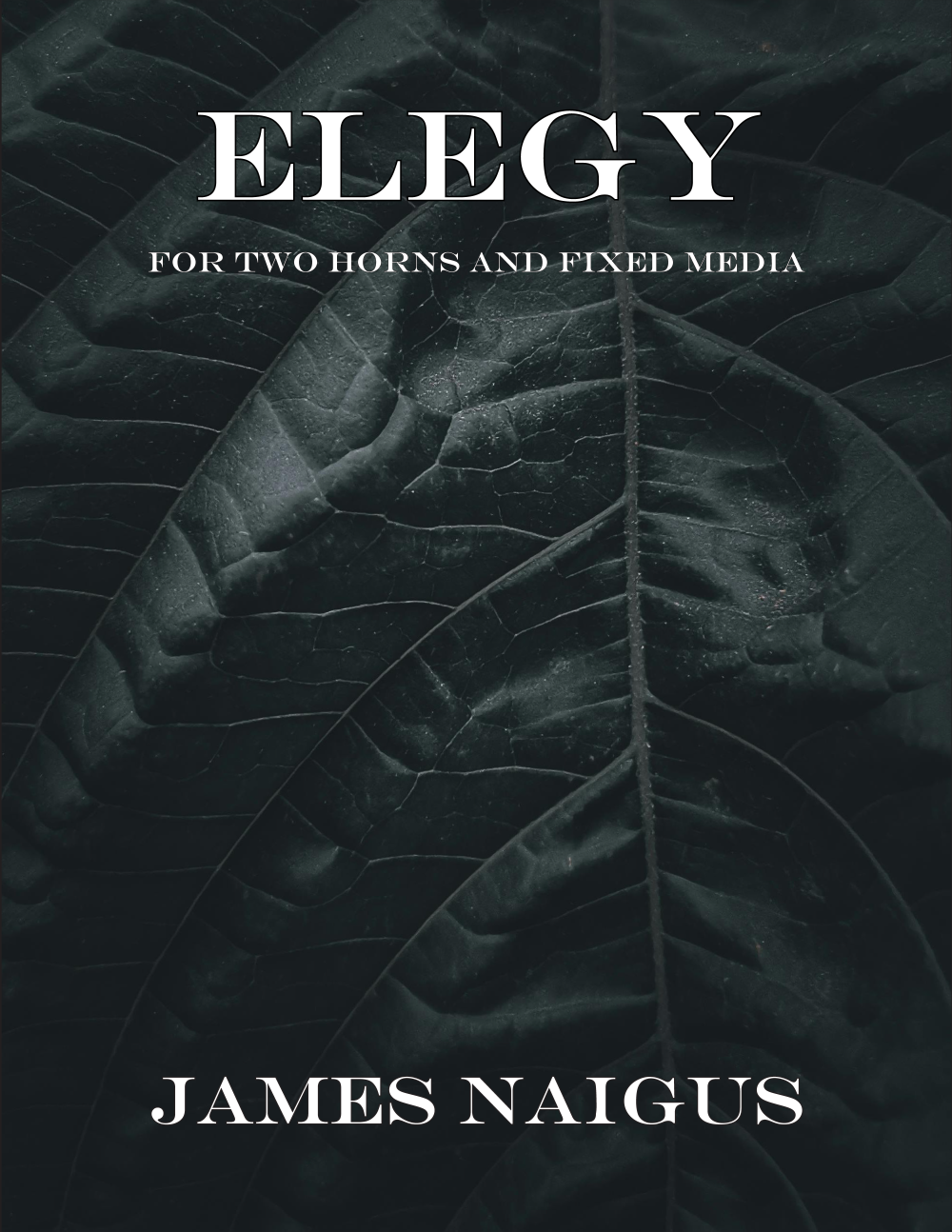 Elegy
