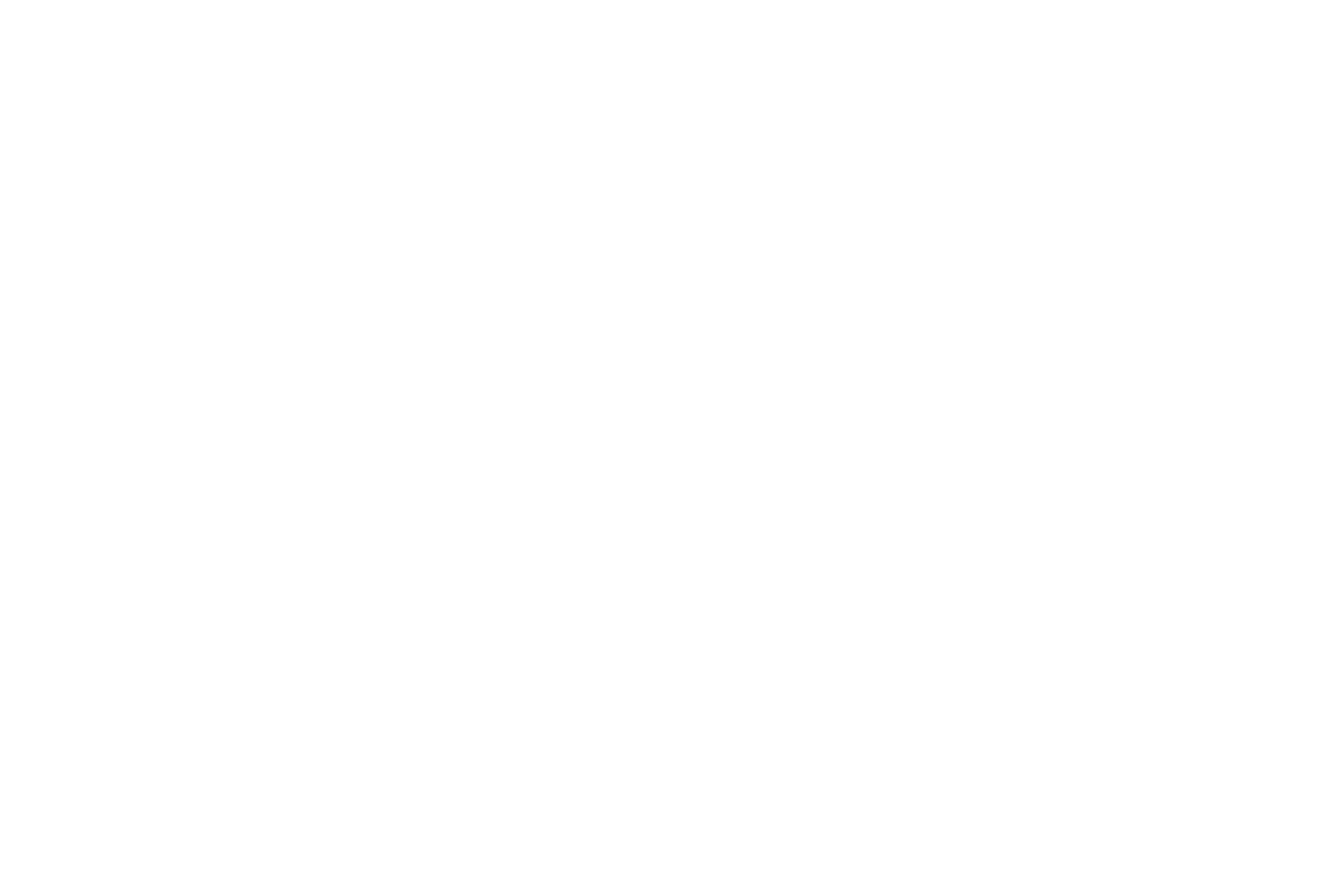 Day Three