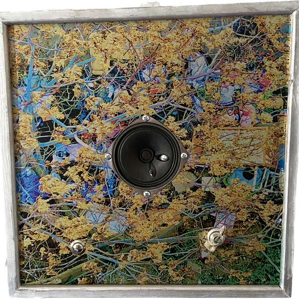 Audio frame Wake up