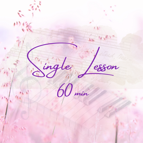 Single Lesson 60 min