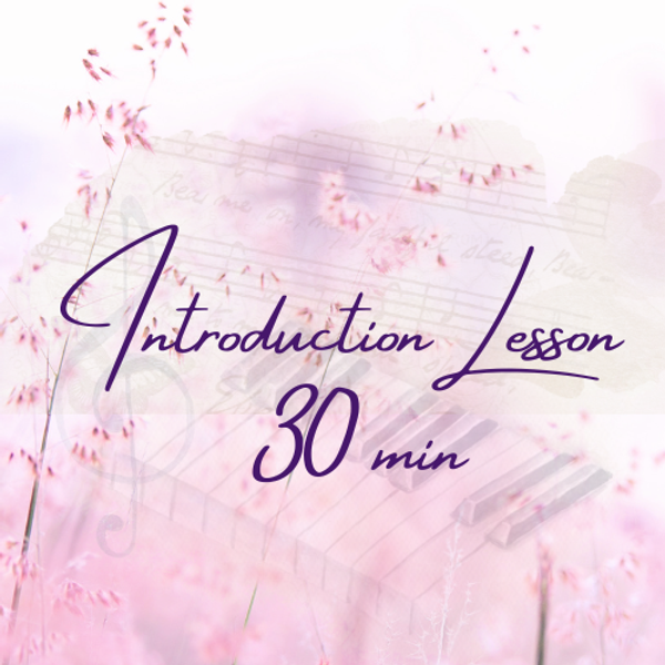 Intro Lesson 30 min