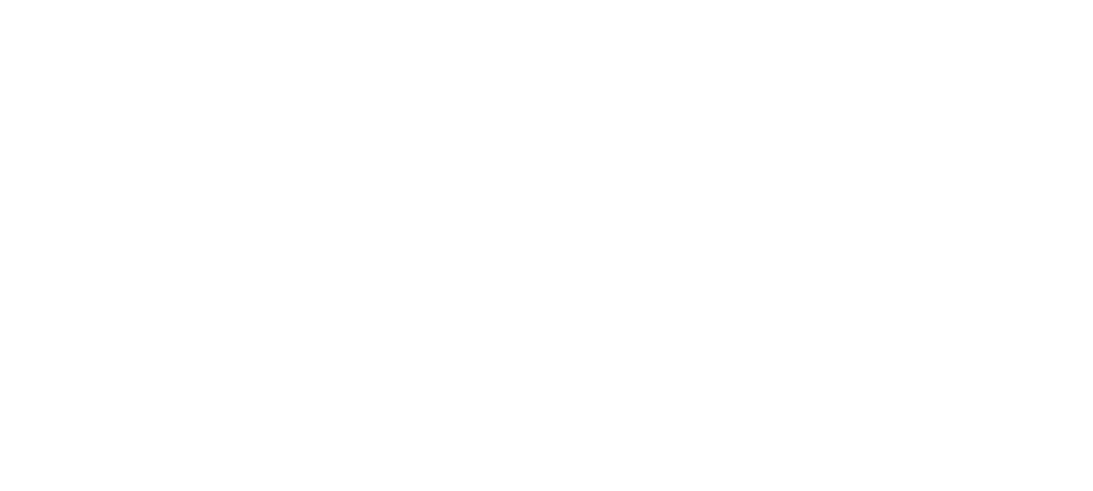 Vince Martin