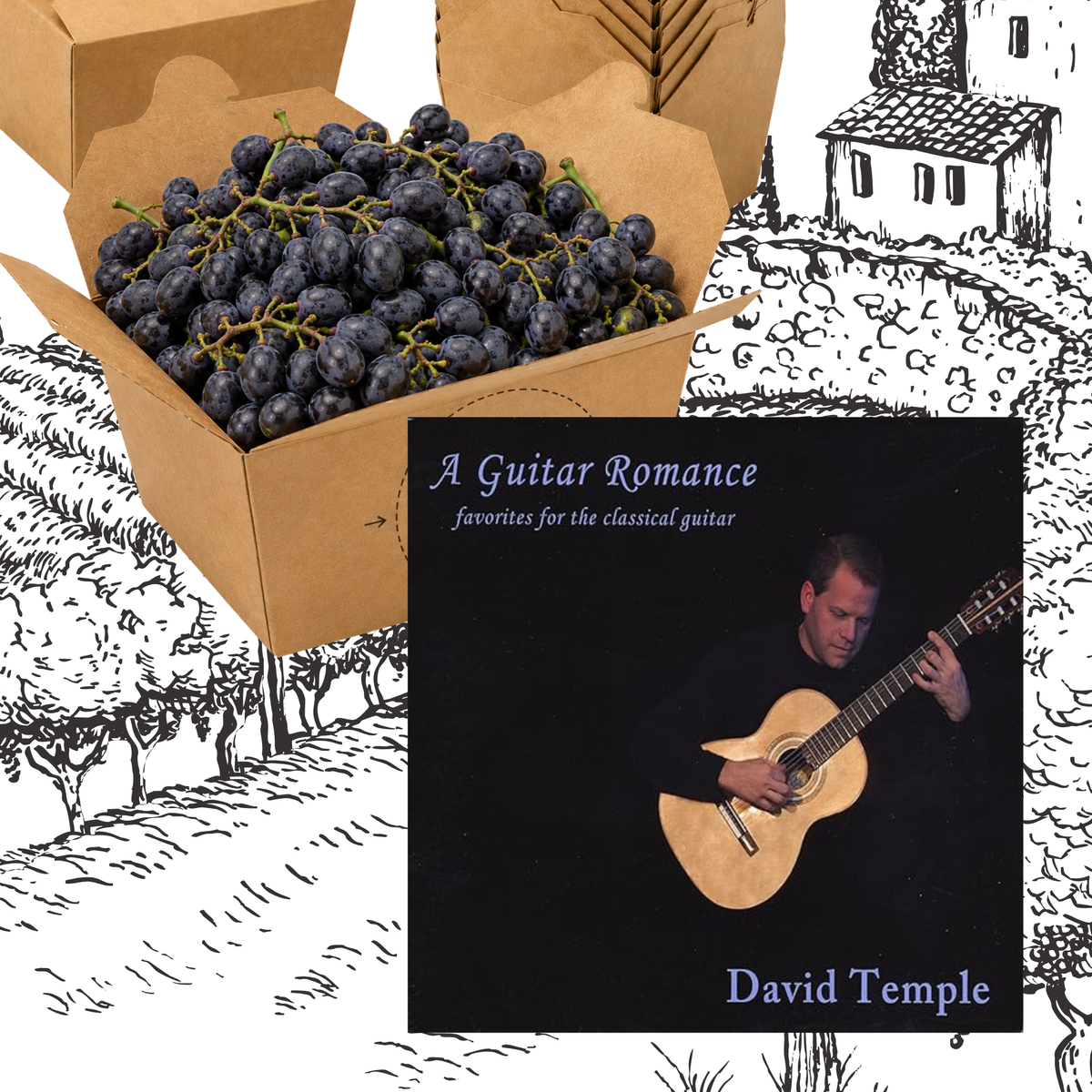 Grapes & Grooves - B: A Guitar Romance