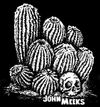 Skull and cactus t-shirt