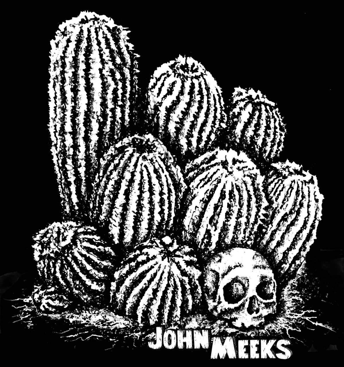 Skull and cactus t-shirt