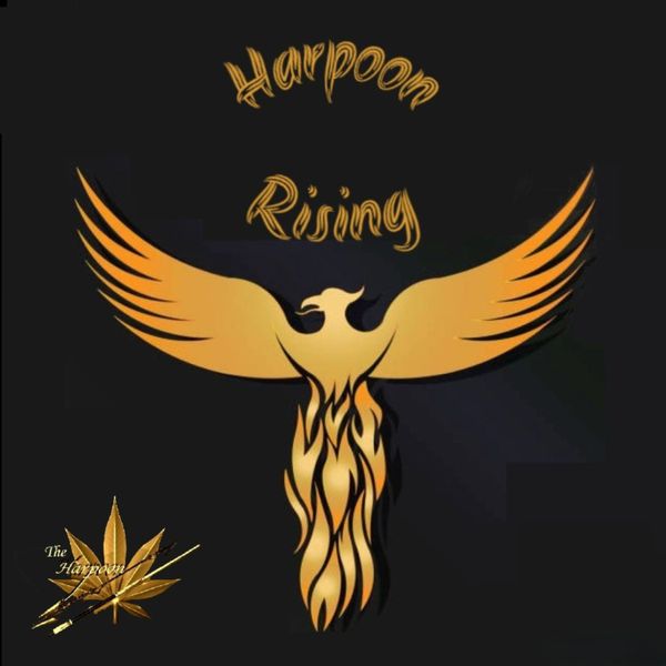 Harpoon Rising - CD or Flash Drive