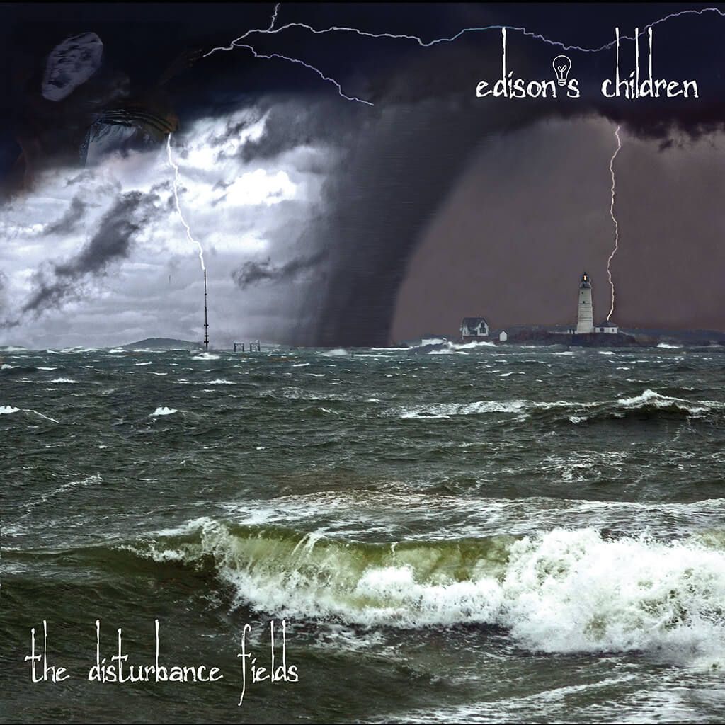 The Disturbance Fields - CD