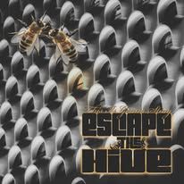 This Is Gonna Sting! on "USBee" Drive