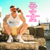 Vice City - Vinyl