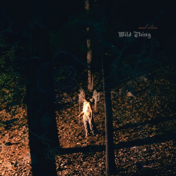 Wild Thing