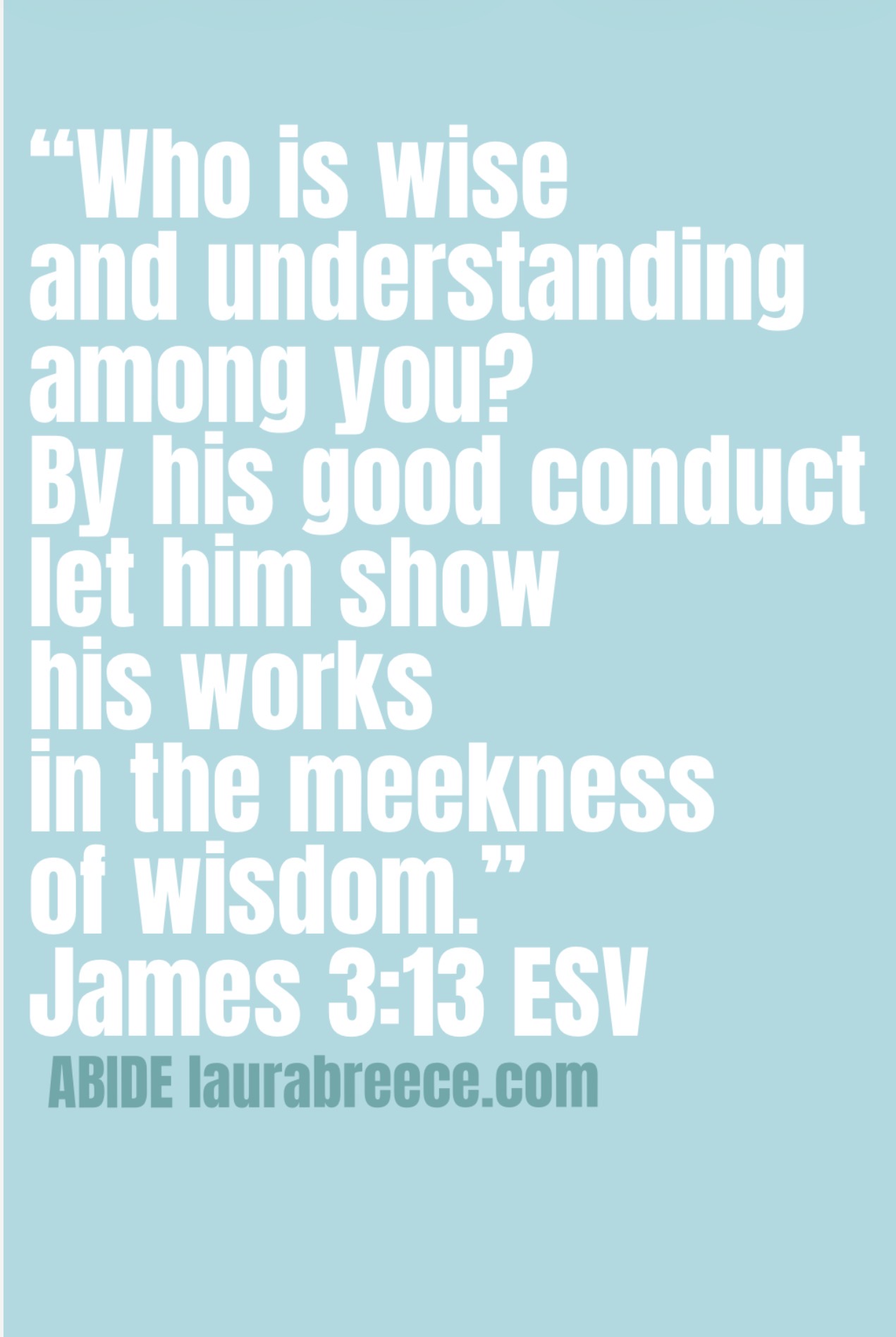 White words on a light blue background that say: “Who is wise and understanding among you? By his good conduct let him show his works in the meekness of wisdom.” James 3:13 ESV