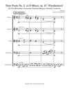Tone Poem No. 2, in D Minor, op. 27, “Floodwaters”