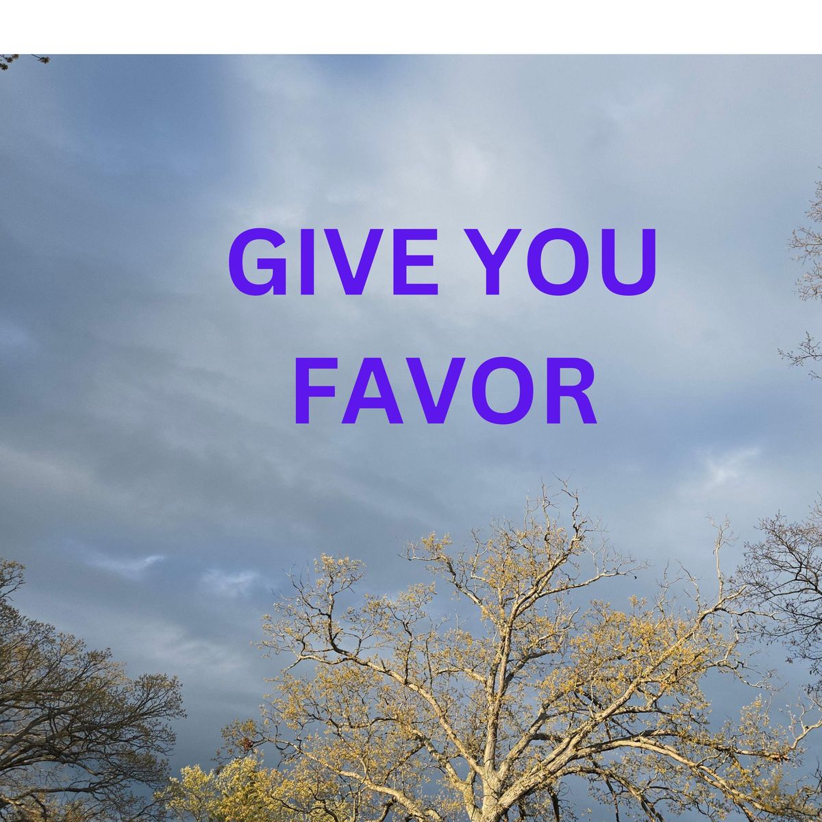 Give You Favor - Give You Favor