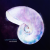 Lightforms