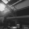 SUNSHINE RAYS (UNLIMITED)