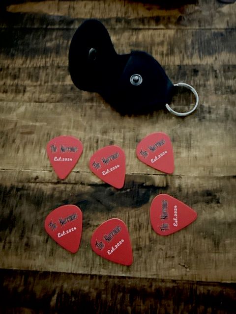 Narrows Guitar pick