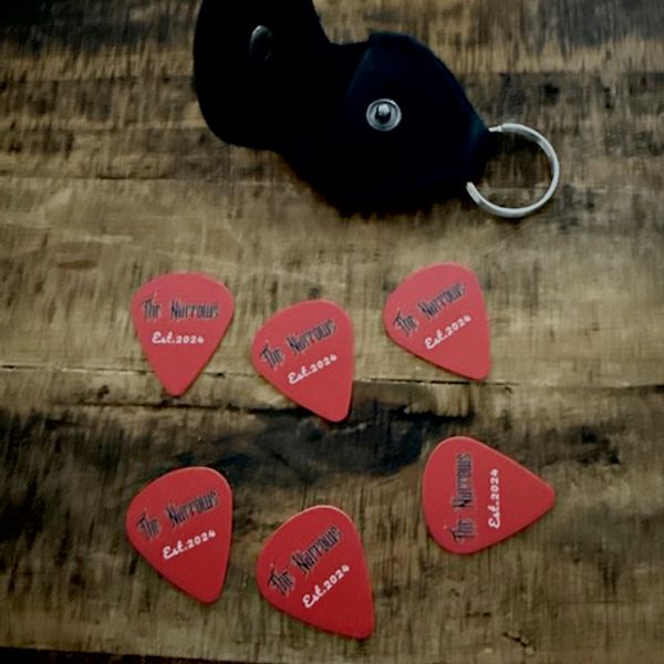 Narrows Guitar pick