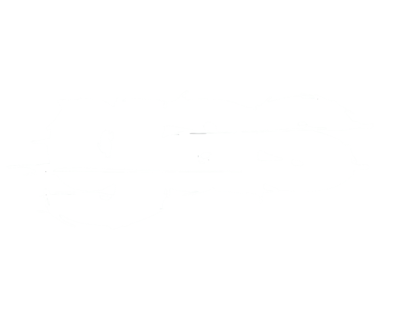 GAS FL