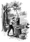 Daniel Boone