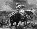 DAVY CROCKET