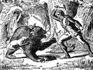 DAVY CROCKET
