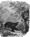 Images of Kit Carson