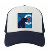 Silk Road 'Grow' Hat
