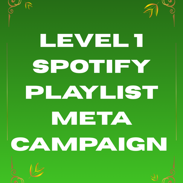Level 1 Spotify Playlist Meta Campaign