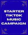Starter TikTok Music Campaign