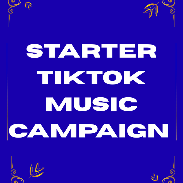 Starter TikTok Music Campaign