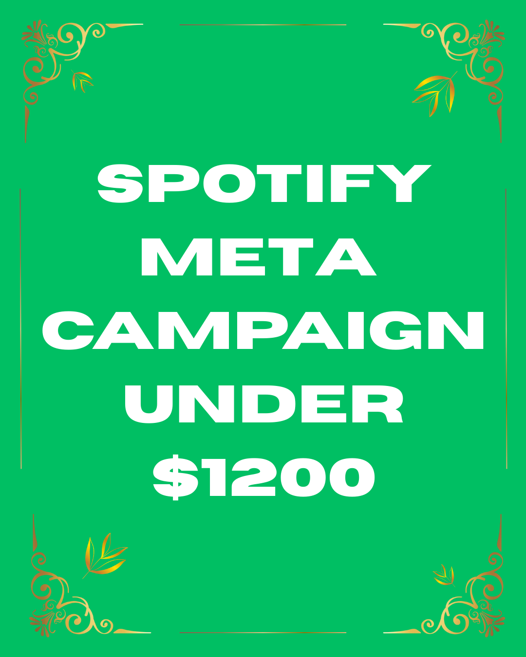 Spotify Meta Promotion UNDER $1200
