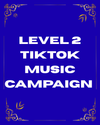 Level 2 TikTok Music Campaign