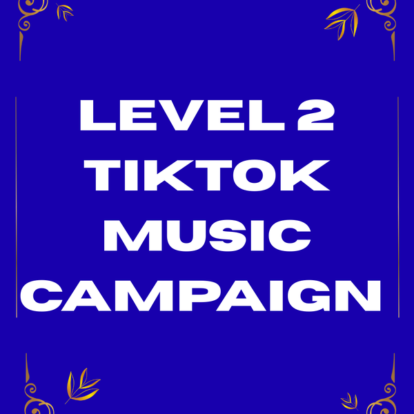 Level 2 TikTok Music Campaign
