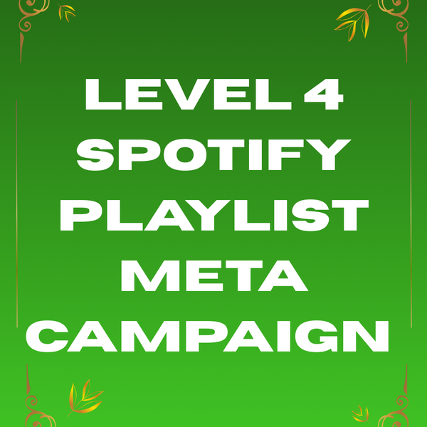 Level 4 Spotify Playlists Meta Campaign