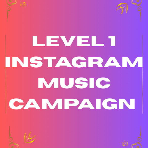Level 1 Instagram Music Campaign