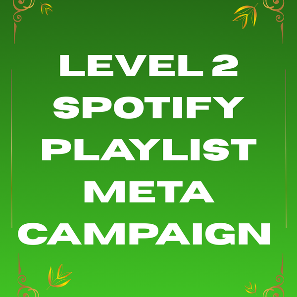 Level 2 Spotify Playlist Meta Campaign