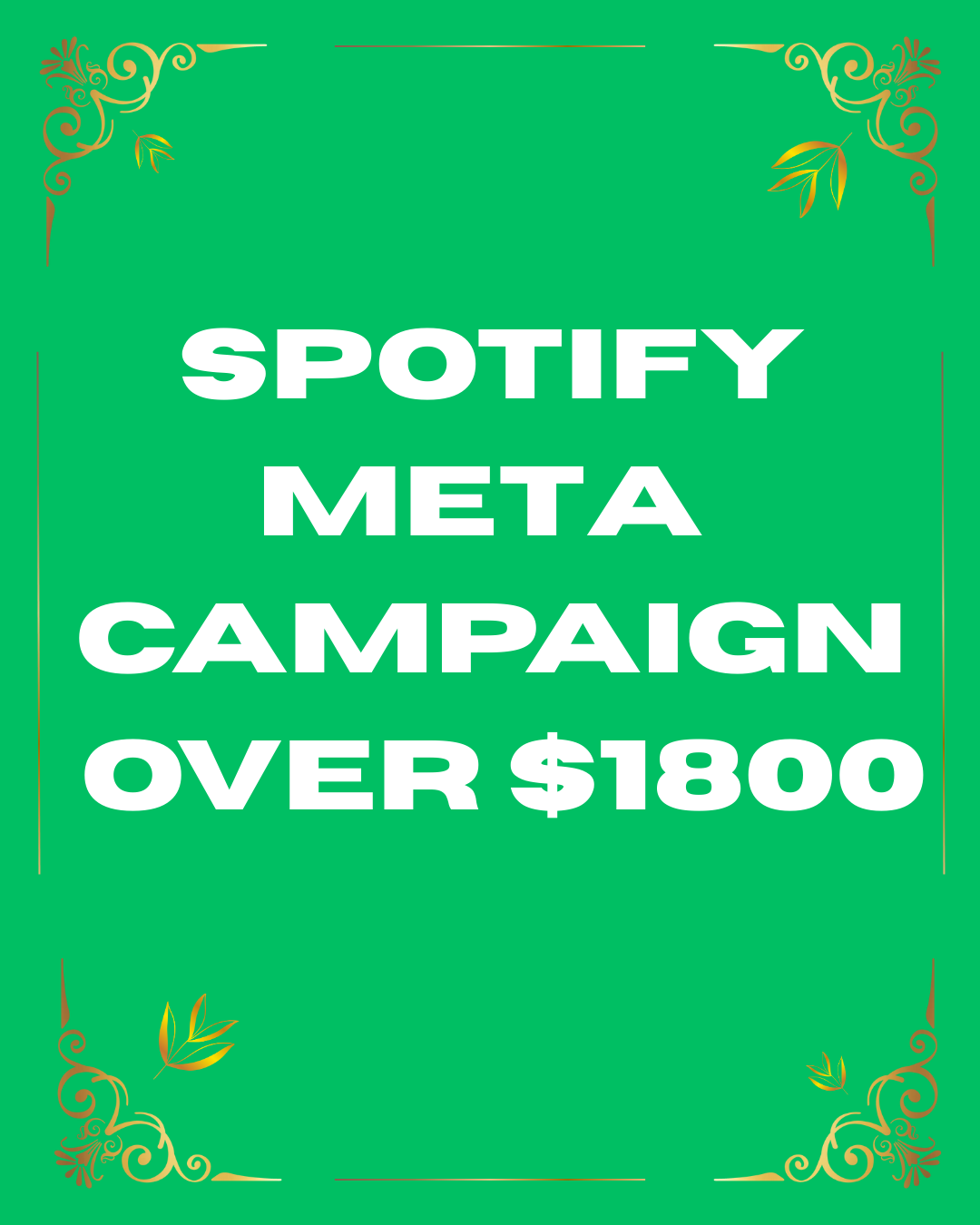 Spotify Meta Promotion OVER $3000