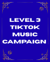 Level 3 TikTok Music Campaign