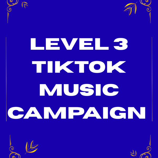 Level 3 TikTok Music Campaign