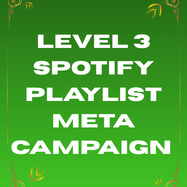 Level 3 Spotify Playlists Meta Campaign