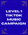 Level 1 TikTok Music Campaign