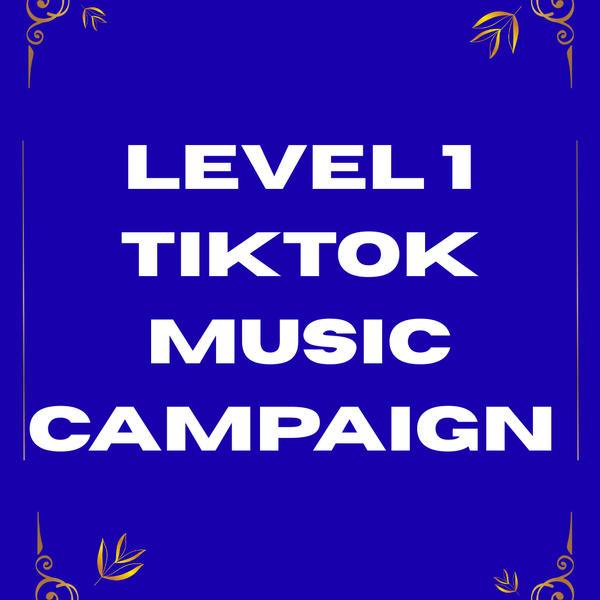 Level 1 TikTok Music Campaign
