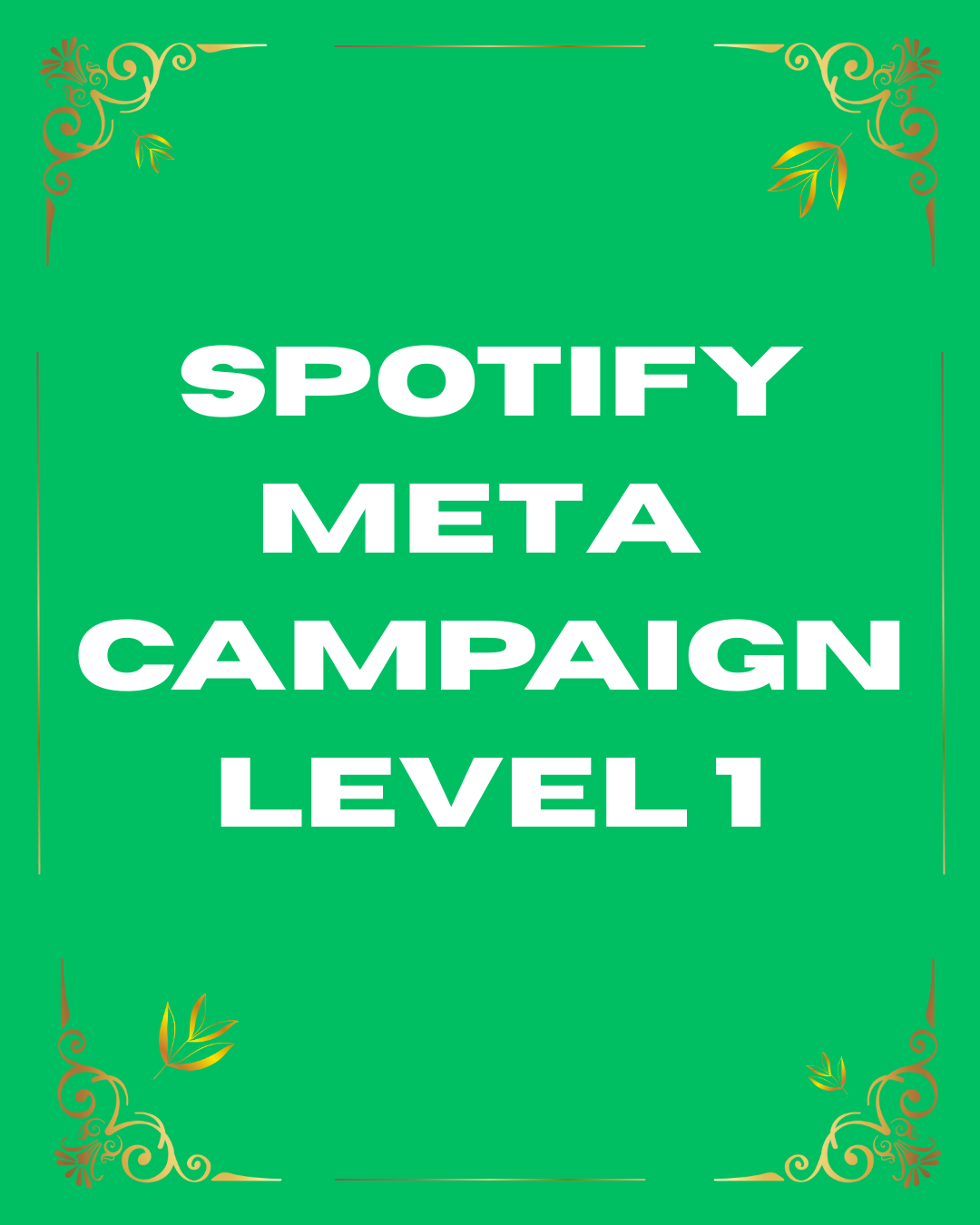 Spotify Meta Promotion