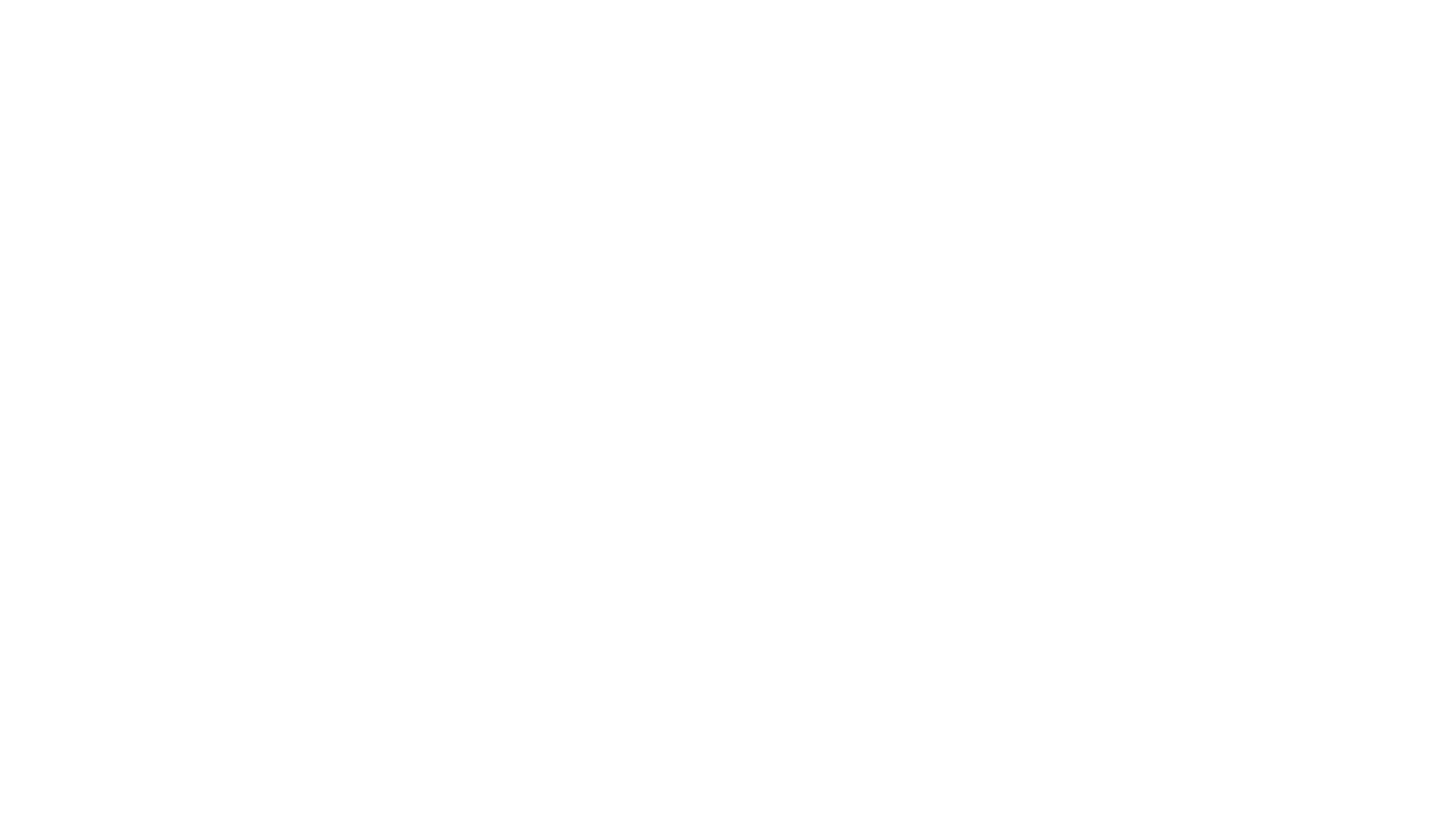 Shadow the Artist