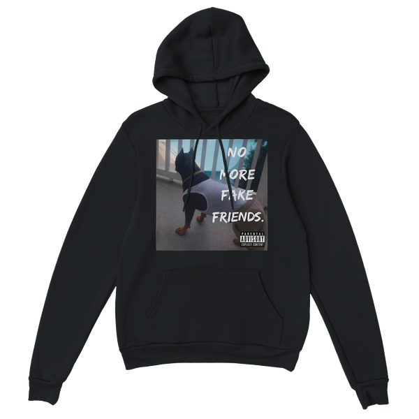 Bands in my hand! - Classic Unisex Pullover Hoodie