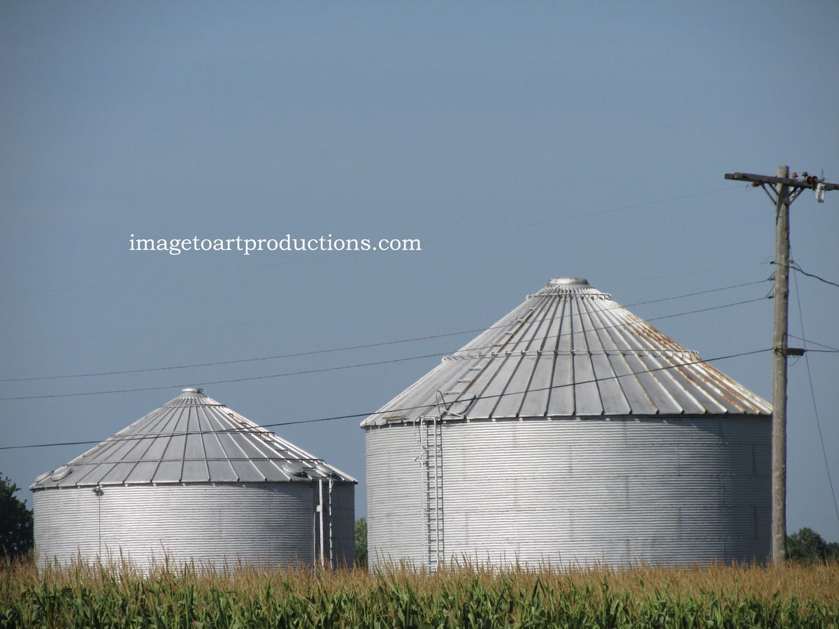 Image #7 - My Photography!