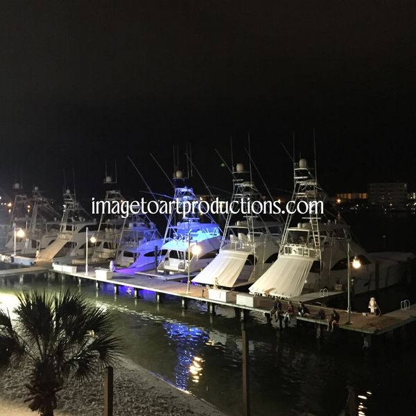 On the Docks at Night!